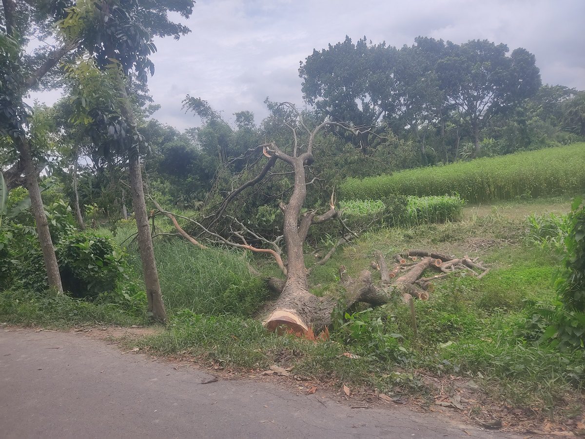 shariatpur pic 1