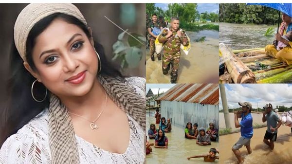 96666396 11