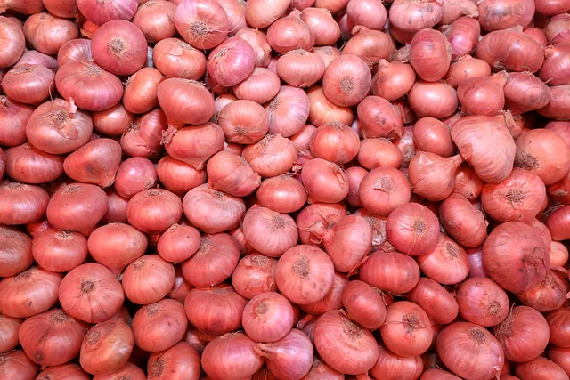 prothomalo bangla 2024 06 5f844932 4114 4d99 a9ee 7b89e0edf0b6 Bogura Spice market ride 7 1