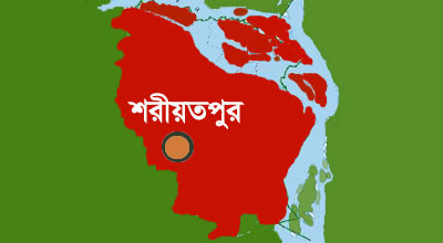96555896 17