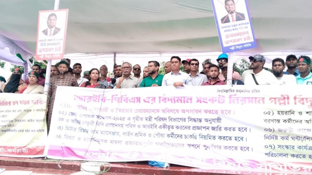 পল্লী বিদ্যুৎ ইস্যুতে সরকার স্বৈরাচারের মতো আচরণ করছে : আনু মুহাম্মদ