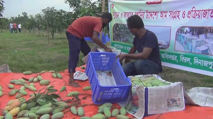 ইউরোপে পোশাক রপ্তানি বৃদ্ধি