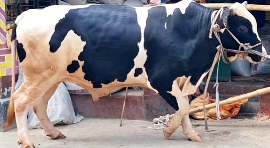 9633320 9