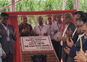 সংঘাত-প্রতিশোধের রাজনীতি আর দেখতে চাই না: রাষ্ট্রপতি