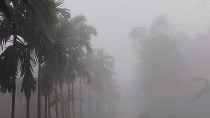 পঞ্চগড়ে তাপমাত্রা নামল ১৬ ডিগ্রির ঘরে