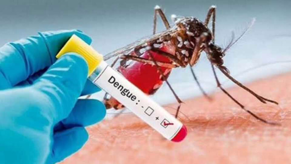ডেঙ্গুতে আরও ৩ জনের মৃত্যু, হাসপাতালে ১২৬২