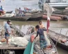 মেঘনায় মাছ ধরায় ২২ দিনের নিষেধাজ্ঞা